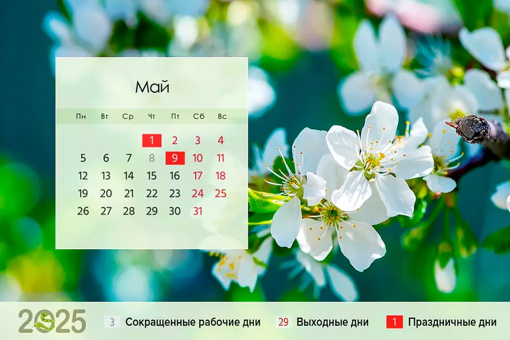 Расписание выходных и рабочих дней в мае 2025 года в России